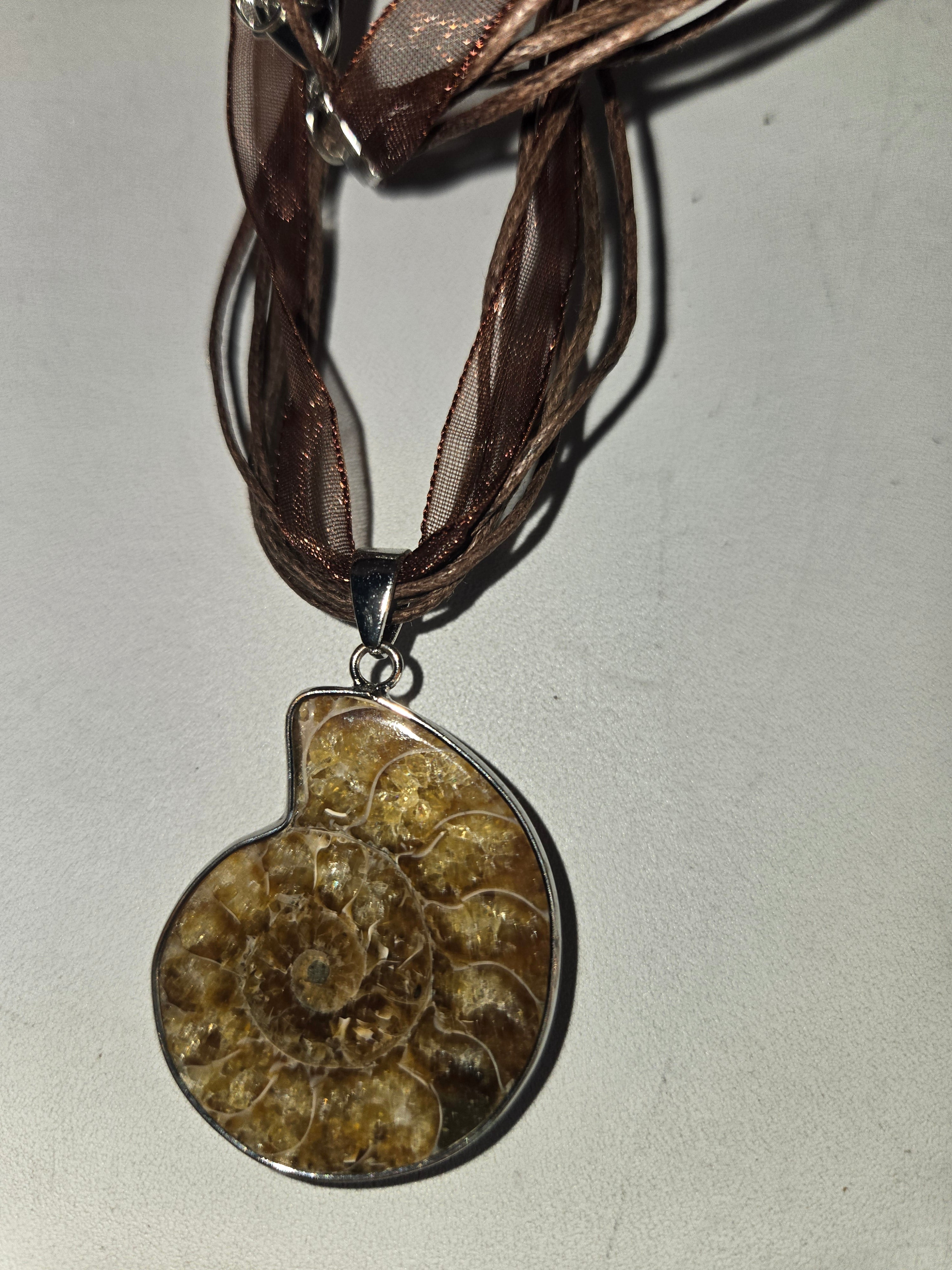 Authentic ammonite pendant necklace